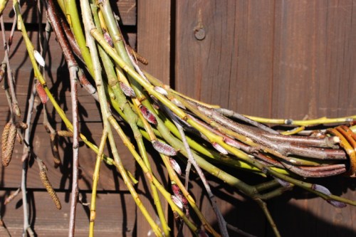 detail of catkins on spring wreath - Willow Green Nursery
