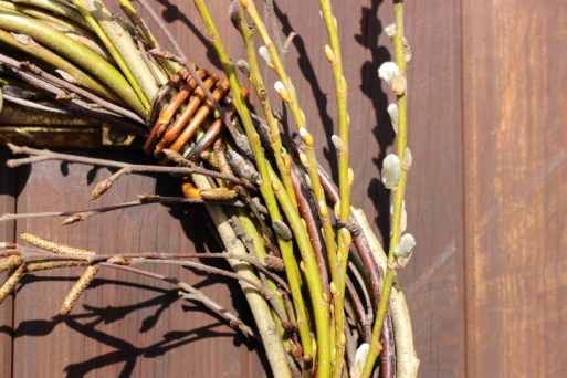 detail of catkins on spring wreath - Willow Green Nursery