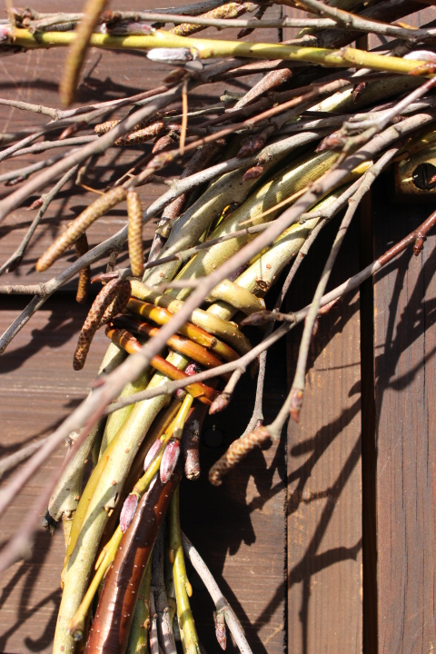 detail of catkins on spring wreath - Willow Green Nursery