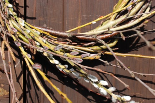detail of catkins on handmade spring wreath - Willow Green Nursery